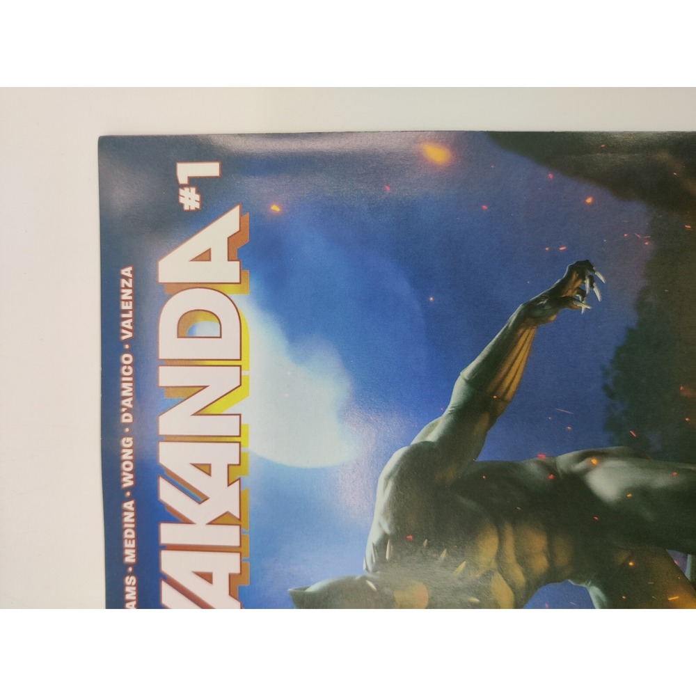 Wakanda #1 WALMART Variant Cover Marvel Comics Black Panther - Picture 5 of 6